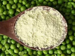Pea_protein