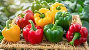 Green and red peppers